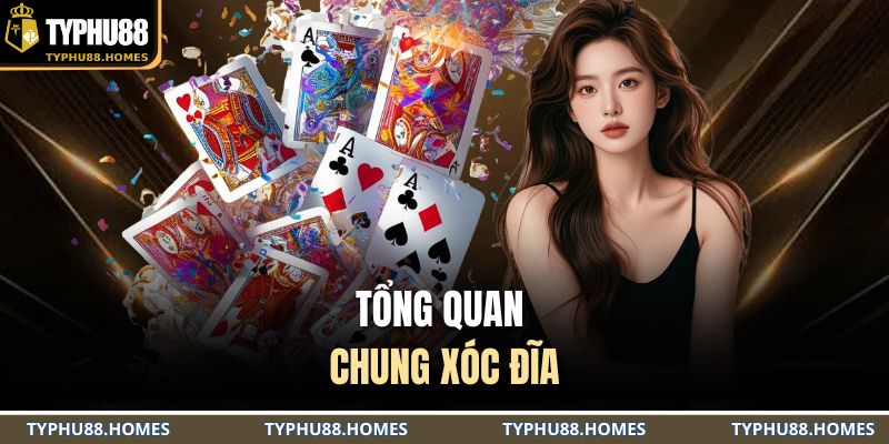 Tổng quan chung xóc đĩa