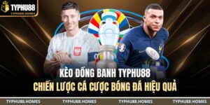 Kèo đồng banh TYPHU88: Chiến lược cá cược bóng đá hiệu quả 5 Kèo đồng banh TYPHU88