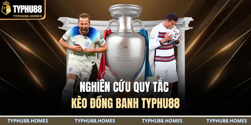 Nghiên cứu quy tắc kèo đồng banh TYPHU88