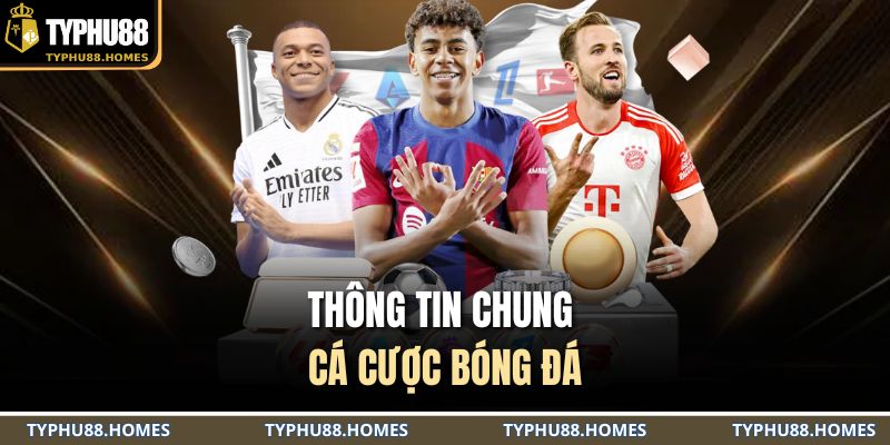 Thông tin chung cá cược bóng đá
