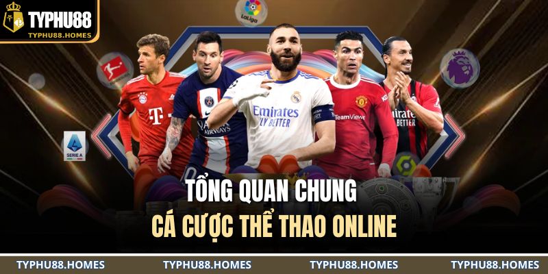 Tổng quan chung cá cược thể thao online