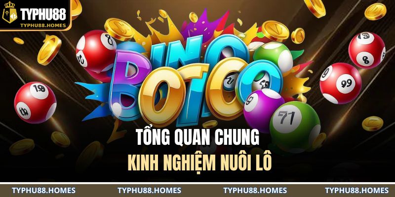 Tổng quan chung kinh nghiệm nuôi lô